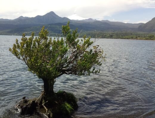 Playa Lago Calafquen