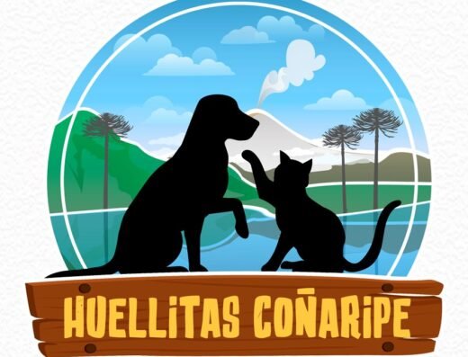 Huellitas Coñaripe