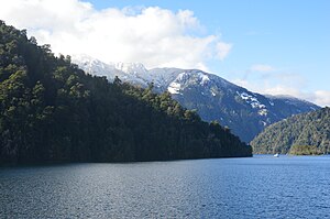 lago pirihueico im winter