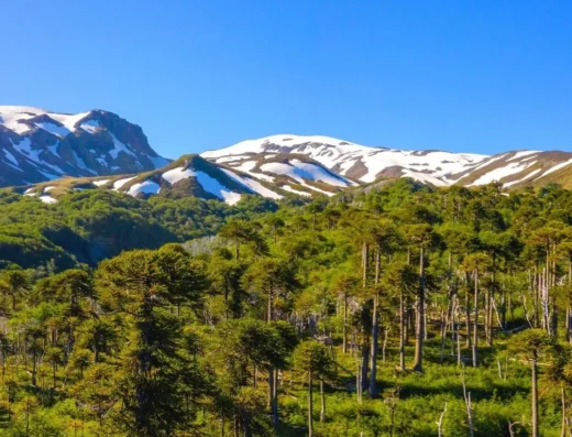parque nacional.villarrica acceso sur coñaripe panguipulli 1