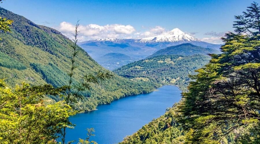 ¡Atrae Más Visitantes y Maximiza tus Reservas con un Aviso Completo!