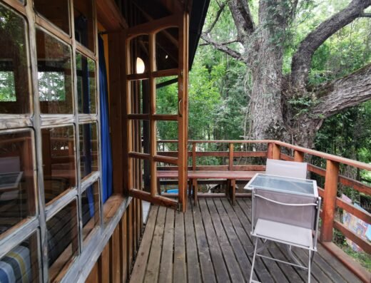 Cabaña Radal Coñaripe