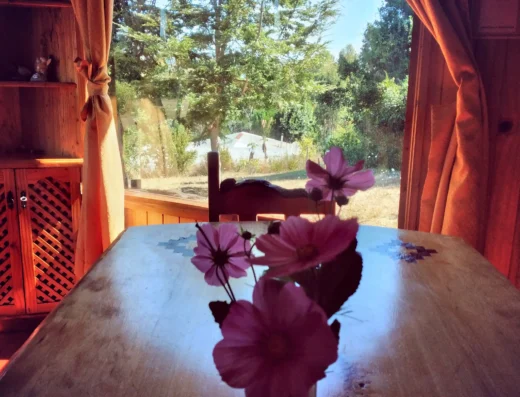 AD LEWFU (VISTA AL LAGO)