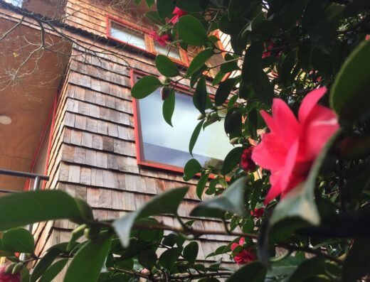 AGROTURISMO SAN ANTONIO