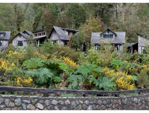 Laurence Alvarez Roos