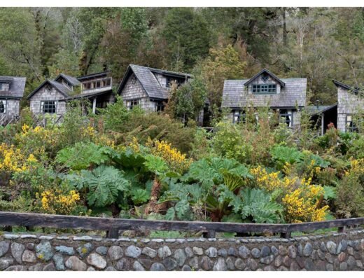 Laurence Alvarez Roos