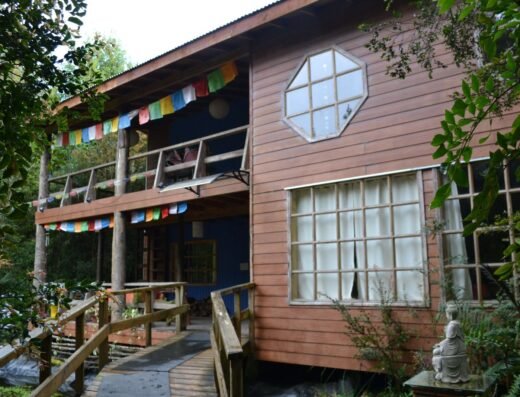 Arrayanes del Lago