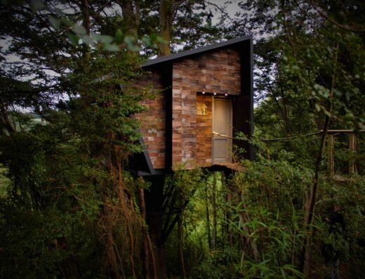 Tradicion Austral Hostal