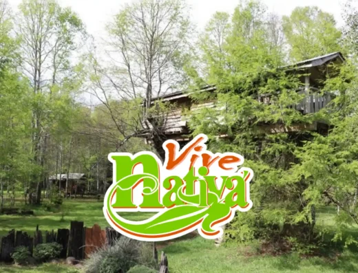 VIVE NATIVA ECO LODGE