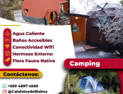 CALAFATES DEL LLAIMA