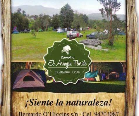 Cabañas We Liwen Ltda