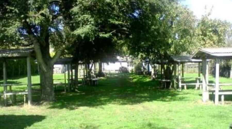 Mejorar el SEO y la Publicidad Digital para Vivir Experiencias en Chile