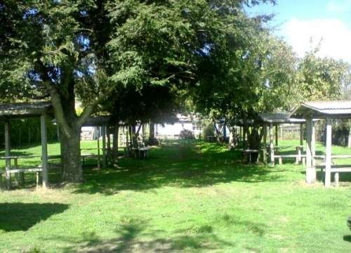 CAMPING NO ME OLVIDES